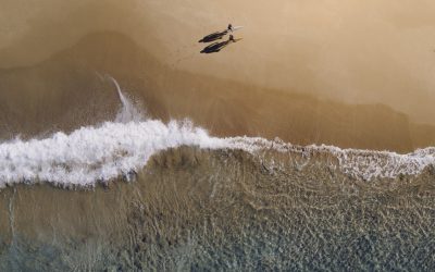 Explora el Fascinante Turismo de Torremolinos: Conoce sus Mejores Atractivos Turísticos