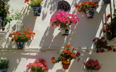 Apartamentos en alquiler Torremolinos